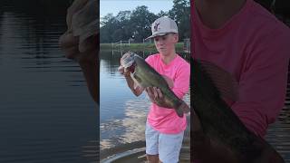 Bign giantbass bassfishing fishing bass [upl. by Asyen]