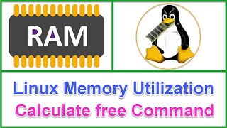 How to Calculate Memory Utilization in Linux using free Command [upl. by Sivie]