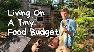 Saving Money With Self Sufficiency  My 3 Strategies for Low Cost Living On A Tiny Food Budget 💰🥦🍗 [upl. by Ssor123]