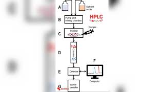 HPLC INSTRUMENTATION IN THE SEPARATE VERSION [upl. by Gayla]