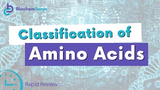 Classification of Amino Acids Rapid Review  Biochemistry [upl. by Yrro]