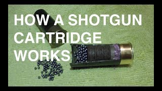 How a Shotgun Cartridge Works  The Basics [upl. by Aniraz]