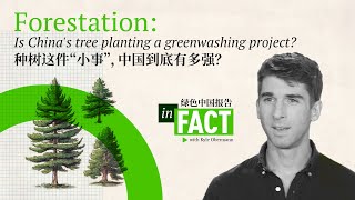 In Fact Is Chinas reforestation a giant greenwashing project [upl. by Hamimej843]