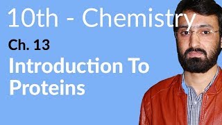 Class 10 Chemistry Chapter 5  Introductions to Proteins  10th Class Chemistry Chapter 13 [upl. by Annek632]