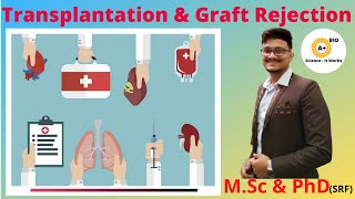 Transplantation Immunology  Graft Rejection Immunology [upl. by Adnilab]