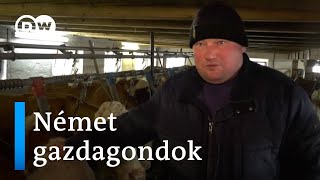 Traktoros blokád Berlinben miért tüntetnek a német gazdák Egy bajor gazdaságban jártunk [upl. by Ahseket]