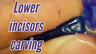 lower incisors carving [upl. by Sylas794]