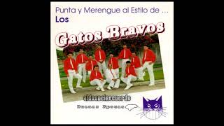 MERETEROGUEY  ARREQUE   LOS GATOS BRAVOS [upl. by Vudimir]