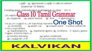 Class 10 Tamil Grammar One Shot  Sample Paper  Kalvikan [upl. by Joe]