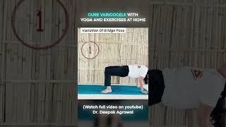 Yoga Aasan for Varicocele at Home  Part 4 varicoceletreatment yogaasanas [upl. by Thetis]