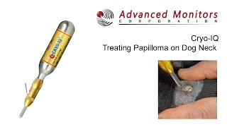 Dr Schwartz Cryosurgery on a Dog Using CryoIQ PRO Cryo Pen with D3 Tip Treating Papilloma on Neck [upl. by Schober610]