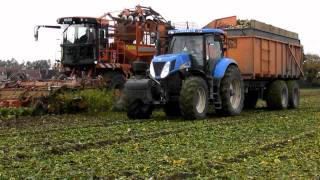 Arrachage de betteraves 2011 avec une Holmer terra dos T3 [upl. by Suaeddaht]