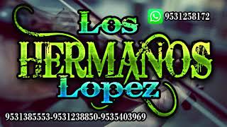 Los Hermanos Lopez Vol5 MUSICA MIXTECA [upl. by Hnilym]