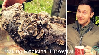 How to make Medicinal Turkey Tail Mushroom Extraction [upl. by Rodavlas]