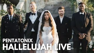 Pentatonix  Hallelujah LIVE Karaoke  AcaKrk [upl. by Acacia]