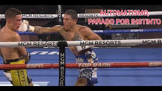 quotAlacranquot Berchelt vs Oscar Valdez [upl. by Atiuqrahs751]