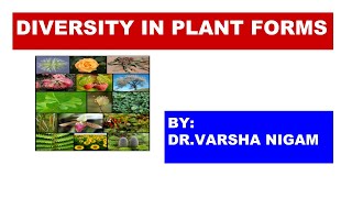 Diversity in plant forms  Plant Anatomy  by Dr Varsha Nigam [upl. by Guillaume]