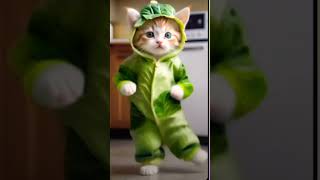 Cat dance  cute cat ytshorts viral Rukmini [upl. by Arraeis]