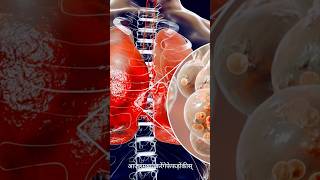 Diet for Pneumonia healthydiet pneumonia healthyfood [upl. by Marwin]