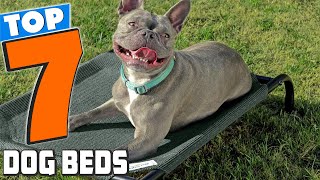 7 Best Dog Beds Comfort and Style for Every Dog [upl. by Baxy110]