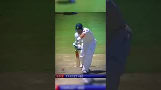 Dale Steyn best setup shorts rohitsharma hitman sg viralshorts [upl. by Revell]