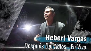 Hebert Vargas  Después Del Adiós  En Vivo Fiestas De Itagui Antioquia [upl. by Dewey353]