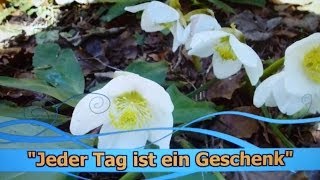 Jeder Tag ist ein Geschenk [upl. by Anitnemelc]