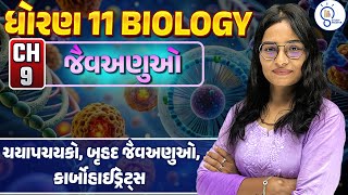 Std 11 Biology ch 9 જૈવઅણુઓ  Biomolecule  std 11 Biology ch 9  L 2  SM Gujarati [upl. by Kanal]