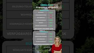 Bürgergeld vs Mindestlohn vermögen geldanlage vermögensaufbau [upl. by Anyer]