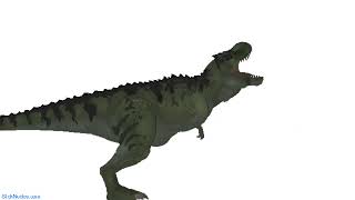 Speckles the Tarbosaurus test animation [upl. by Airetal]