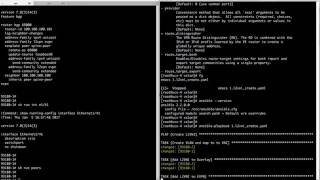 Cisco Nexus 9000 VXLAN BGP EVPN Automation with Ansible 22 [upl. by Arnulfo]