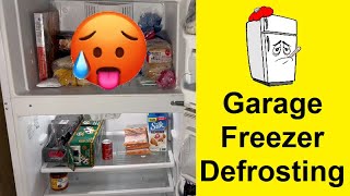 Garage Freezer Defrosting  Help [upl. by Mattox]