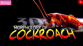 COCKROACH CLASS 11 NEET ANIMATION  3D ANIMATION [upl. by Nussbaum]