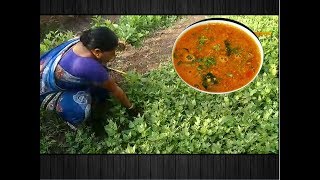 चाकवत भाजी गरगट्टा  Chakvat Bhaji  Bathua Sabji ki Dal  chakwat aamti  local dish of kolhapur [upl. by Sybil]