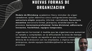 estructuras organizacionales [upl. by Ateikan]