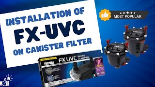 SETTING UP AN FX UVC CLARIFIER  Installation on FX Series Filter Cover [upl. by Euqilegna]