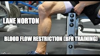 Layne Norton Blood Flow Restriction Legs Workout  Physique Science Radio [upl. by Lenrad]