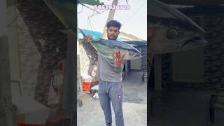 కర్నూల్ 10kg tuna fish డెలివరీ చేశానుviralreelstrendingreelsseafishseafishingramufishpacking [upl. by Alroy]