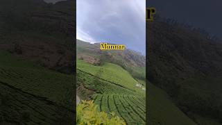 Munnar kerala❤️ travel lifespaceplzsubscribemychannel 🙏 [upl. by Ettevroc]