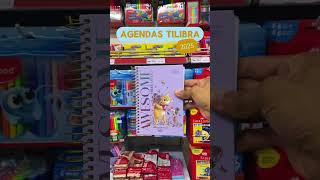 Agendas Tilibra 2025📆 Diversos modelos para você Vem escolher a sua😻❤️ [upl. by Ocimad993]