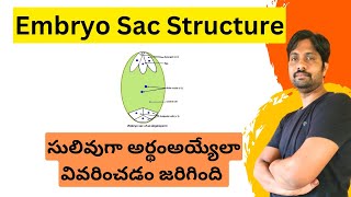 Embryo sac Structure Explained in Easy Way [upl. by Akiner]