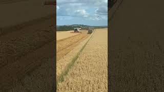 Harvest 2024 Operations shorts farming tractor automobile agriculture technology claas video [upl. by Theodoric887]