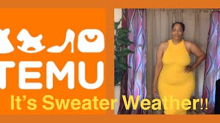 TEMU PLUS SWEATER DRESS TRY ON HAUL [upl. by Lacagnia]