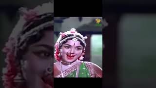 Thillana Mohanambal Movie Best Scene l APN Films [upl. by Sair]