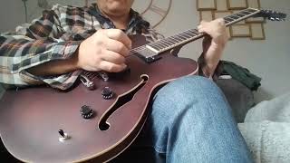 Hofner verythin demo [upl. by Gnaht816]