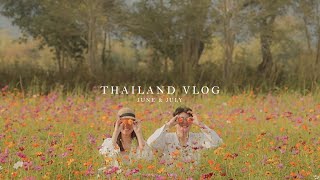 A Week in Thailand Exploring Chiang Mai Coffee Hopping Elephant Sanctuary and Museum Experience [upl. by Sitnalta]