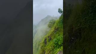 Explore 🏕️  Hridayam  Song  travel status trending nature travel love viralvideo munnar [upl. by Halla793]