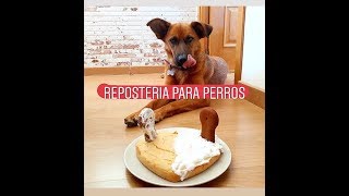 REPOSTERIA PARA PERROS  Fácil y con pocos ingredientes [upl. by Lustig261]