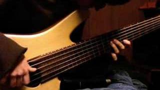 How Insensitive Insensatez  Solo Acoustic Bass [upl. by Merceer]