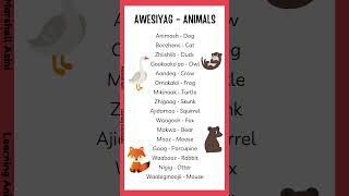 How to speak Ojibwe Animals language lessons ojibwe fy [upl. by Zoellick992]